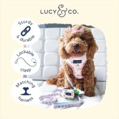 Lucy & Co. The In The Clouds Polyester Padded Handle Dog Leash, Pink -PetSafe Kong Shop 923150 PT2. AC SS1800 V1693513541