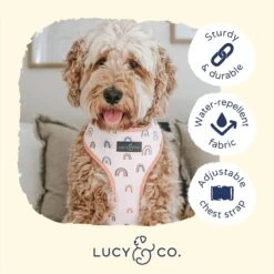Lucy & Co. The In The Clouds Reversible Dog Harness, Pink -PetSafe Kong Shop 923198 PT3. AC SS1800 V1693515650