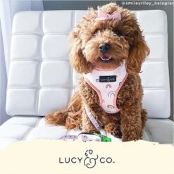 Lucy & Co. The In The Clouds Reversible Dog Harness, Pink -PetSafe Kong Shop 923198 PT4. AC SS1800 V1693513542