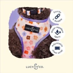 Lucy & Co. The Let's Groove Reversible Dog Harness, Coral -PetSafe Kong Shop 923342 PT3. AC SS1800 V1693510123