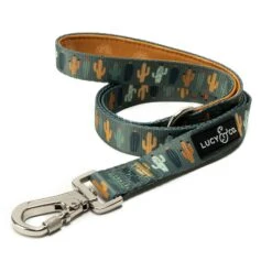 Lucy & Co. The Looking Sharp Polyester Padded Handle Dog Leash, Green