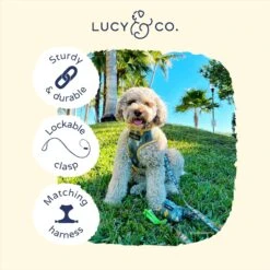 Lucy & Co. The Looking Sharp Polyester Padded Handle Dog Leash, Green -PetSafe Kong Shop 923446 PT2. AC SS1800 V1693511137
