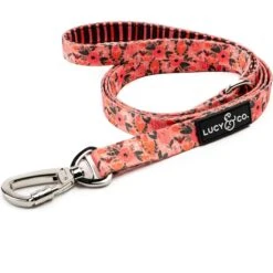 Lucy & Co. The Posy Pink Polyester Padded Handle Dog Leash, Pink, Large: 5-ft Long, 1-in Wide