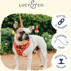 Lucy & Co. The Posy Pink Polyester Padded Handle Dog Leash, Pink, Large: 5-ft Long, 1-in Wide -PetSafe Kong Shop 923582 PT2. AC SS1800 V1693511754