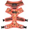Lucy & Co. The Posy Pink Reversible Dog Harness, Pink, X-Small: 12 To 15-in Chest