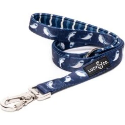 Lucy & Co. The Shark Attack Polyester Padded Handle Dog Leash, Blue