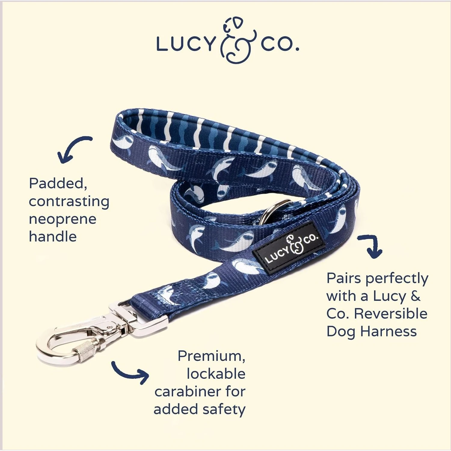 Lucy & Co. The Shark Attack Polyester Padded Handle Dog Leash, Blue 2 Lucy & Co. The Shark Attack Polyester Padded Handle Dog Leash, Blue - Image 2