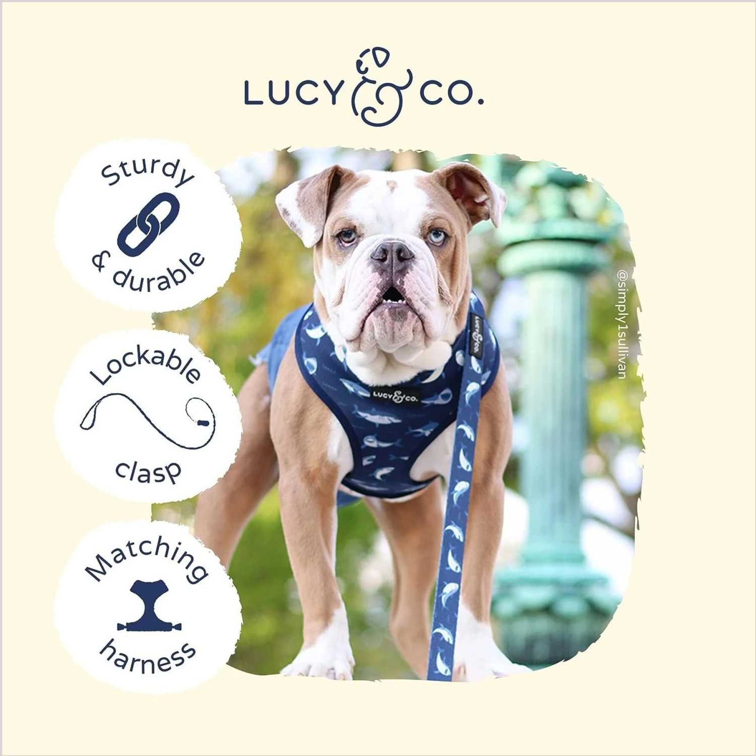 Lucy & Co. The Shark Attack Polyester Padded Handle Dog Leash, Blue 3 Lucy & Co. The Shark Attack Polyester Padded Handle Dog Leash, Blue - Image 3