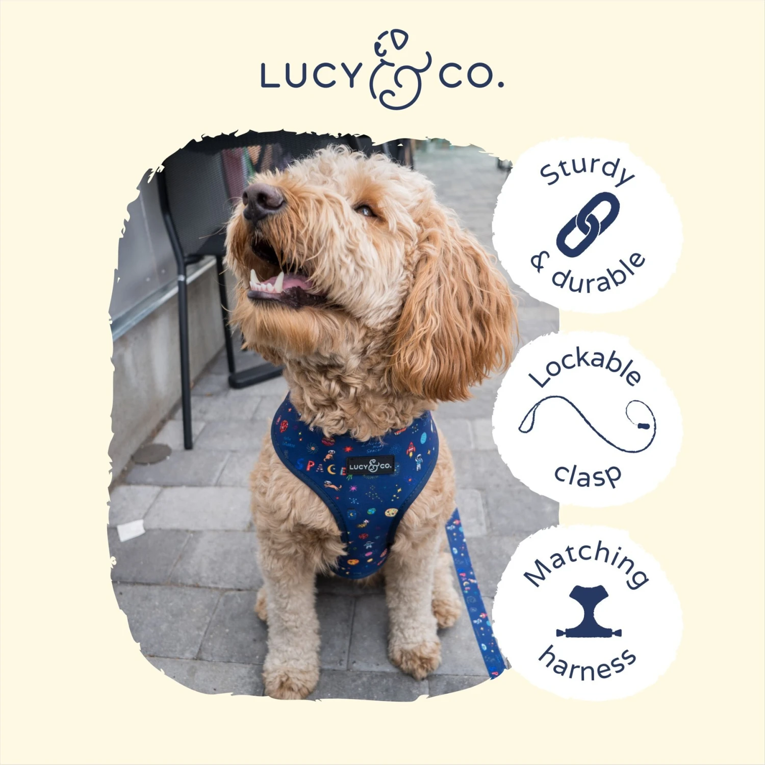Lucy & Co. The Space Doodle Polyester Padded Handle Dog Leash, Navy, Large: 5-ft Long, 1-in Wide 3 Lucy & Co. The Space Doodle Polyester Padded Handle Dog Leash, Navy, Large: 5-ft Long, 1-in Wide - Image 3