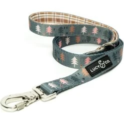 Lucy & Co. The Take A Hike Polyester Padded Handle Dog Leash, Green