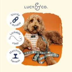 Lucy & Co. The Take A Hike Polyester Padded Handle Dog Leash, Green -PetSafe Kong Shop 923878 PT2. AC SS1800 V1693511489