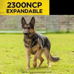 Dogtra 2300NCP Expandable Training Dog Collar -PetSafe Kong Shop 926238 PT6. AC SS1800 V1696368274