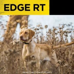 Dogtra EDGE RT Training Dog Collar -PetSafe Kong Shop 926254 PT3. AC SS1800 V1696368274