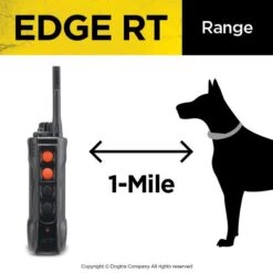 Dogtra EDGE RT Training Dog Collar -PetSafe Kong Shop 926254 PT5. AC SS1800 V1696368273