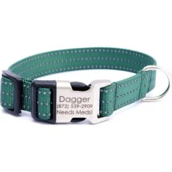 Mimi Green Nylon Personalized Reflective Hybrid Buckle Dog Collar