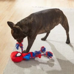 Marvel 's Captain America Plush With Rope Squeaky Dog Toy + 3 Items -PetSafe Kong Shop 929454 PT6. AC SS1800 V1690899555