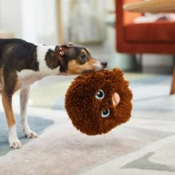 STAR WARS CHEWBACCA Round Plush Squeaky Dog Toy + 2 Items -PetSafe Kong Shop 929502 PT3. AC SS1800 V1690899421