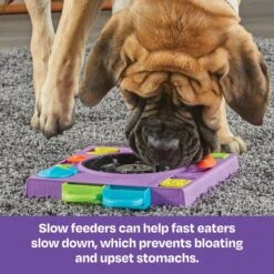 Brightkins DJ Doggo Puzzle Feeder Dog Toy -PetSafe Kong Shop 930054 PT3. AC SS1800 V1698766697