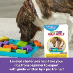 Brightkins Brain Teaser Treat Puzzle Dog Toy -PetSafe Kong Shop 930070 PT2. AC SS1800 V1698766700