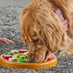 Brightkins Pizza Party! Treat Puzzle Dog Toy -PetSafe Kong Shop 930086 PT4. AC SS1800 V1698766050