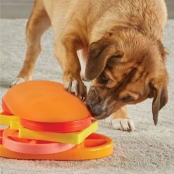 Brightkins Pupstrami Surprise! Treat Puzzle Dog Toy 12 Brightkins Pupstrami Surprise! Treat Puzzle Dog Toy -PetSafe Kong Shop 930102 PT4. AC SS1800 V1698765995