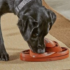 Brightkins Touchdown Time! Treat Puzzle Dog Toy 10 Brightkins Touchdown Time! Treat Puzzle Dog Toy -PetSafe Kong Shop 930118 PT3. AC SS1800 V1698766048