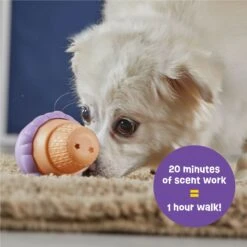 Brightkins Small Ice Cream Treat Dispenser Dog Toy 9 Brightkins Small Ice Cream Treat Dispenser Dog Toy -PetSafe Kong Shop 930134 PT2. AC SS1800 V1698765995