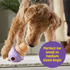 Brightkins Small Ice Cream Treat Dispenser Dog Toy 10 Brightkins Small Ice Cream Treat Dispenser Dog Toy -PetSafe Kong Shop 930134 PT3. AC SS1800 V1698766048