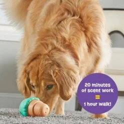 Brightkins Large Ice Cream Treat Dispenser Dog Toy -PetSafe Kong Shop 930150 PT2. AC SS1800 V1698765990