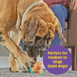 Brightkins Large Ice Cream Treat Dispenser Dog Toy -PetSafe Kong Shop 930150 PT3. AC SS1800 V1698766692