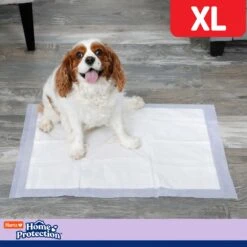 Hartz Home Protection No Odor No Leaks Lavender Scented X-Large Dog Pads, 30 X 21-in -PetSafe Kong Shop 93300 PT5. AC SS1800 V1695135427