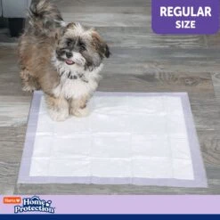 Hartz Home Protection Odor Eliminating Dog Pee Pads -PetSafe Kong Shop 93304 PT5. AC SS1800 V1689019587