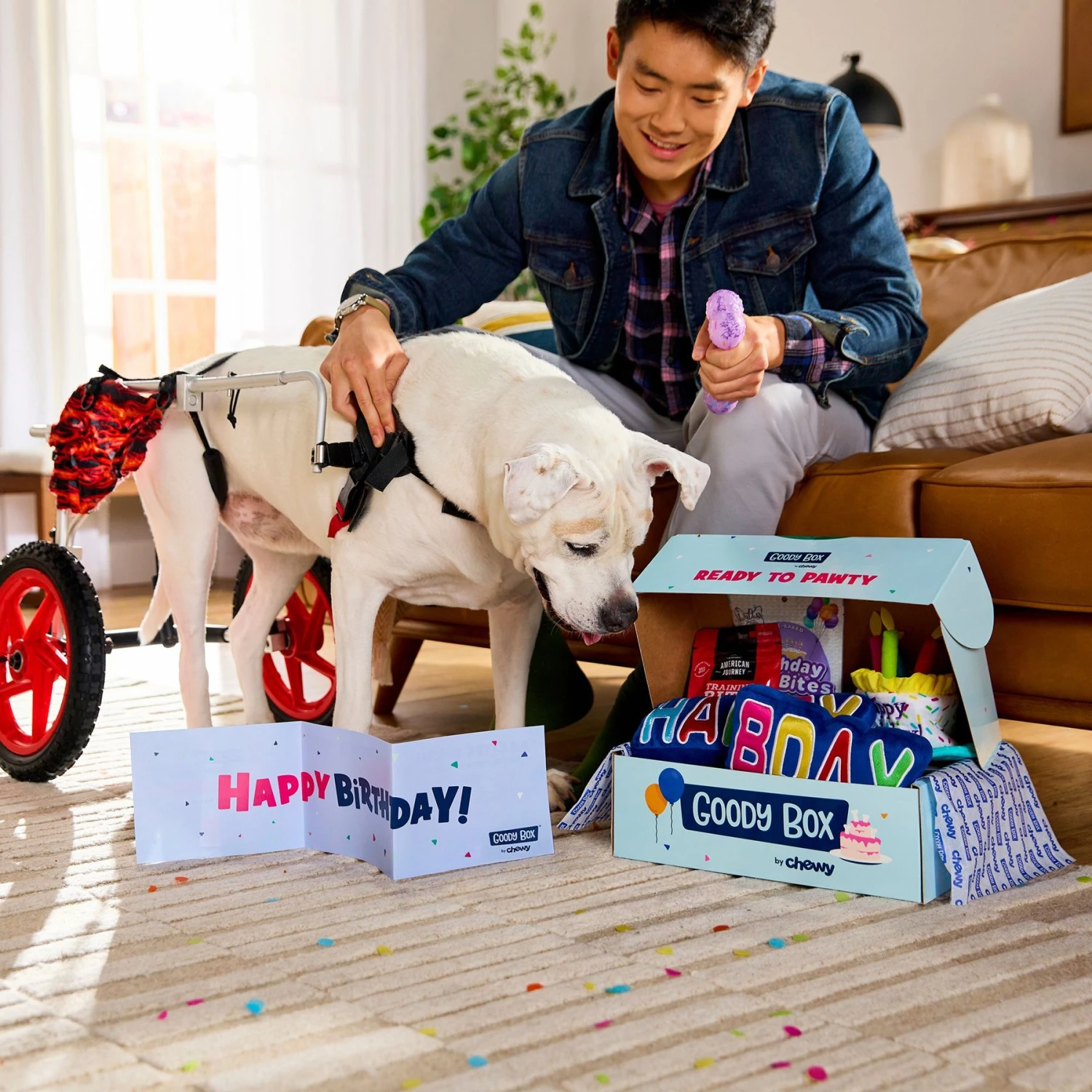 Goody Box Birthday Dog Toys & Treats & Pooch Creamery Peanut Butter Flavor Ice Cream Mix Dog Treat, 5.25-oz Cup 5 Goody Box Birthday Dog Toys & Treats & Pooch Creamery Peanut Butter Flavor Ice Cream Mix Dog Treat, 5.25-oz Cup - Image 5