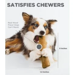 Petstages Dogwood Tough Dog Chew Toy & Nylabone Power Chew Textured Dog Chew Ring Toy Flavor Medley -PetSafe Kong Shop 933430 PT4. AC SS1800 V1692303299
