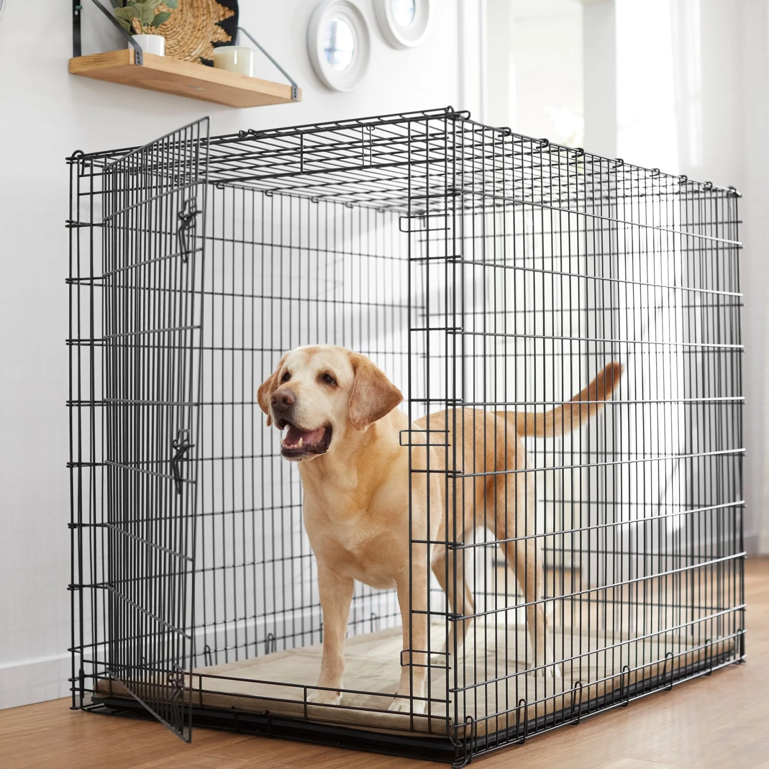 Frisco Heavy Duty Single Door Wire Dog Crate & MidWest Quiet Time Fleece Dog Crate Mat 2 Frisco Heavy Duty Single Door Wire Dog Crate & MidWest Quiet Time Fleece Dog Crate Mat - Image 2