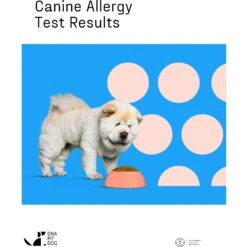 DNA My Dog Allergy Test -PetSafe Kong Shop 938470 PT2. AC SS1800 V1692639055