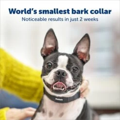 Petsafe NanoBark Collar By PetSafe Rechargeable Dog Bark Collar, Black 8 Petsafe NanoBark Collar By PetSafe Rechargeable Dog Bark Collar, Black -PetSafe Kong Shop 939262 PT3. AC SS1800 V1698336104