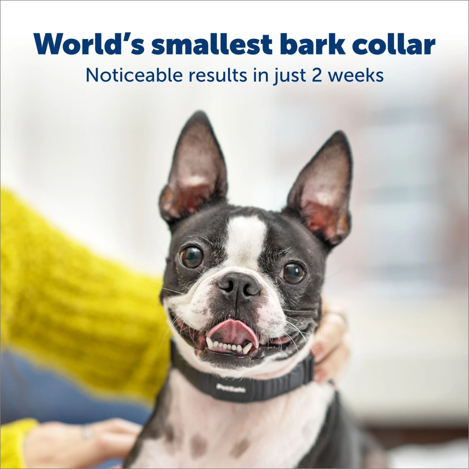 Petsafe NanoBark Collar By PetSafe Rechargeable Dog Bark Collar, Black 3 Petsafe NanoBark Collar By PetSafe Rechargeable Dog Bark Collar, Black - Image 3