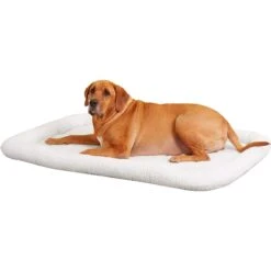 MidWest Solutions Series XX-Large Heavy Duty Double Door Wire Dog Crate, 54 Inch & MidWest Quiet Time Fleece Dog Crate Mat -PetSafe Kong Shop 939374 PT5. AC SS1800 V1691785952