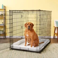 MidWest Solutions Series XX-Large Heavy Duty Double Door Wire Dog Crate, 54 Inch & MidWest Quiet Time Fleece Dog Crate Mat -PetSafe Kong Shop 939374 PT8. AC SS1800 V1691785954