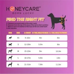 Honey Care All-Absorb Super Absorbent Disposable Female Dog Diapers -PetSafe Kong Shop 939646 PT4. AC SS1800 V1694726343