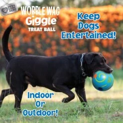 Wobble Wag Giggle Treat Dispensing Squeaky Ball Dog Toy, Blue -PetSafe Kong Shop 939670 PT5. AC SS1800 V1692635418