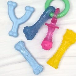 Nylabone Puppy Chew Chicken & Bacon Dog Chew Toys Bundle, X-Small -PetSafe Kong Shop 939726 PT4. AC SS1800 V1692279492