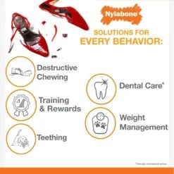 Nylabone Puppy Chew Chicken & Bacon Dog Chew Toys Bundle, X-Small -PetSafe Kong Shop 939726 PT5. AC SS1800 V1692279486