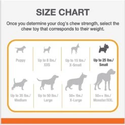 Nylabone Power Chew Lobster, Cheese, & Broccoli Dog Chew Toy Bundle -PetSafe Kong Shop 939782 PT4. AC SS1800 V1692282792