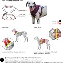 Puppia Dotty Print Polyester Back Clip Dog Harness -PetSafe Kong Shop 93997 PT8. AC SS1800 V1569514080