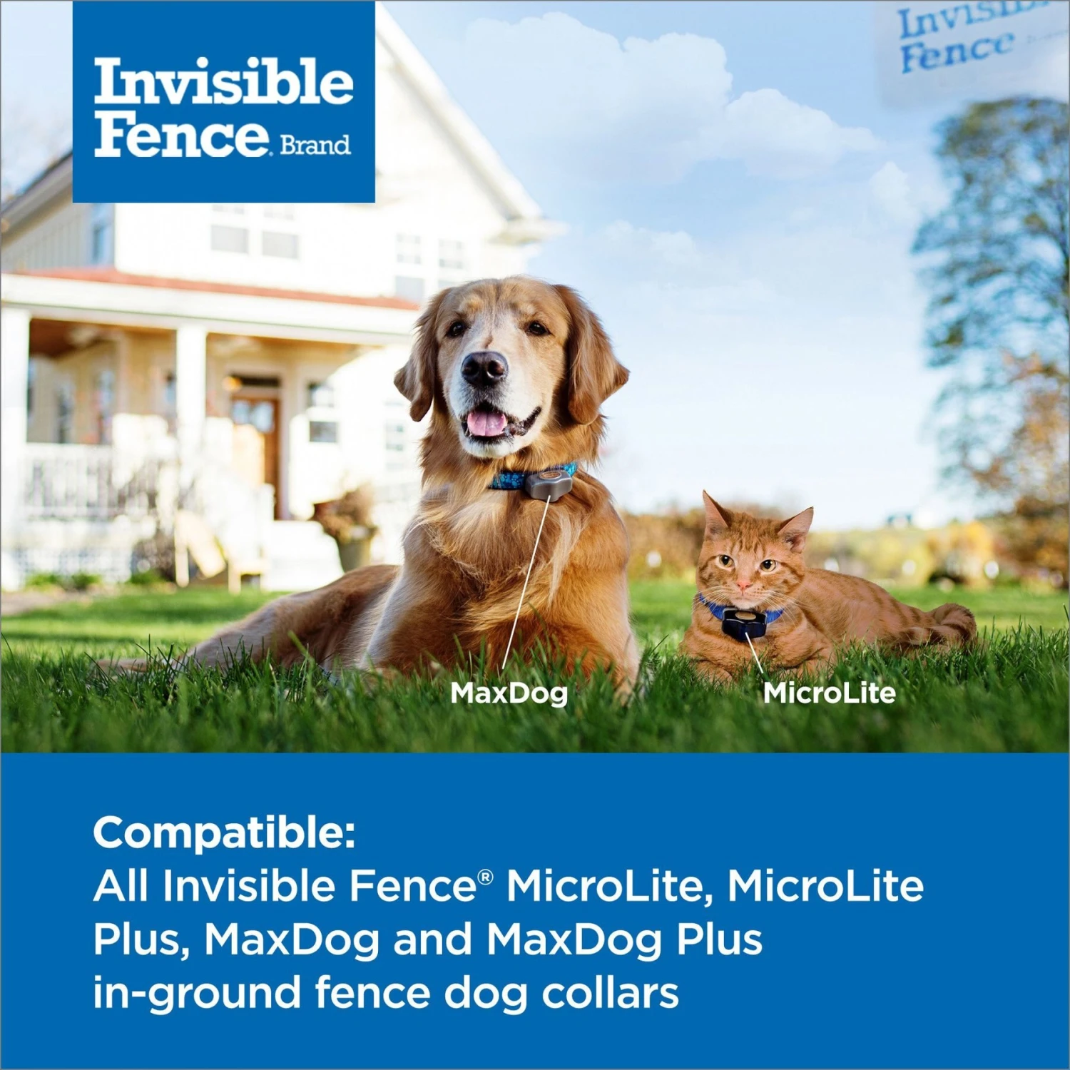 PetSafe Single Invisible Fence Battery 3 PetSafe Single Invisible Fence Battery - Image 3