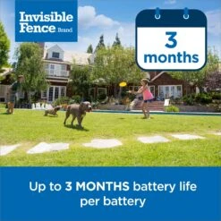 PetSafe Single Invisible Fence Battery 8 PetSafe Single Invisible Fence Battery -PetSafe Kong Shop 940510 PT3. AC SS1800 V1692306126