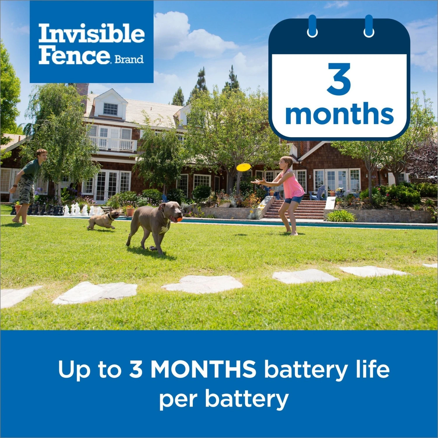 PetSafe Single Invisible Fence Battery 4 PetSafe Single Invisible Fence Battery - Image 4