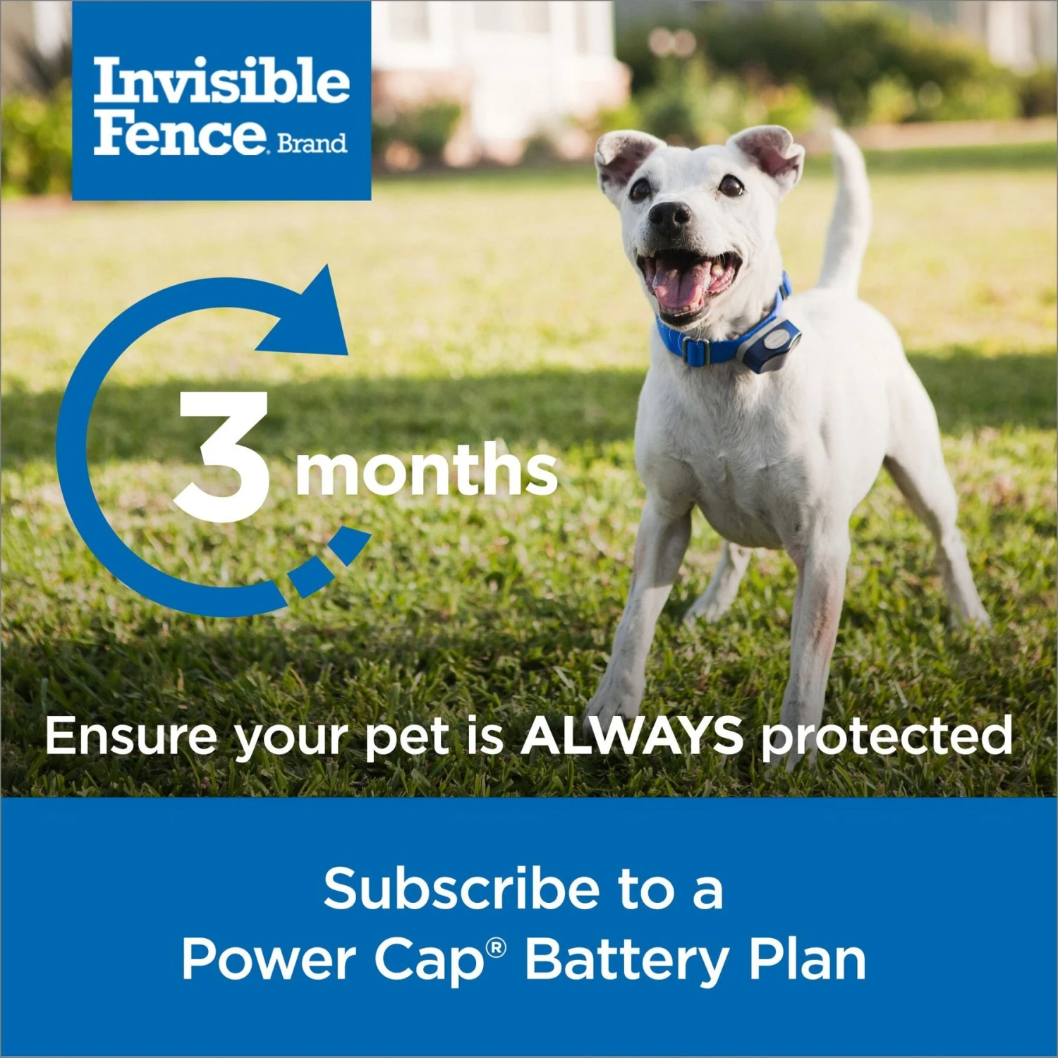 PetSafe Single Invisible Fence Battery 5 PetSafe Single Invisible Fence Battery - Image 5